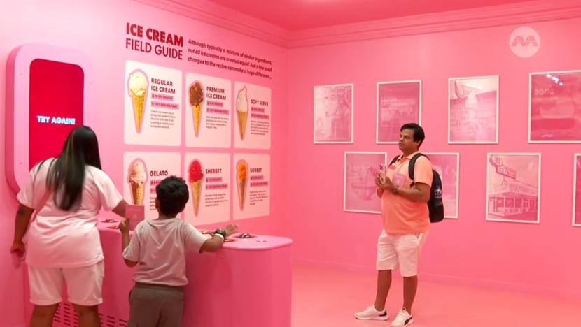 Some Singapore attractions see fewer local visitors this June school holidays Some Singapore attractions see fewer local visitors this June school holidays