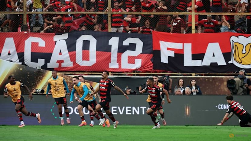 Flamengo beat Palmeiras 1-0 to win fourth Copa Libertadores title