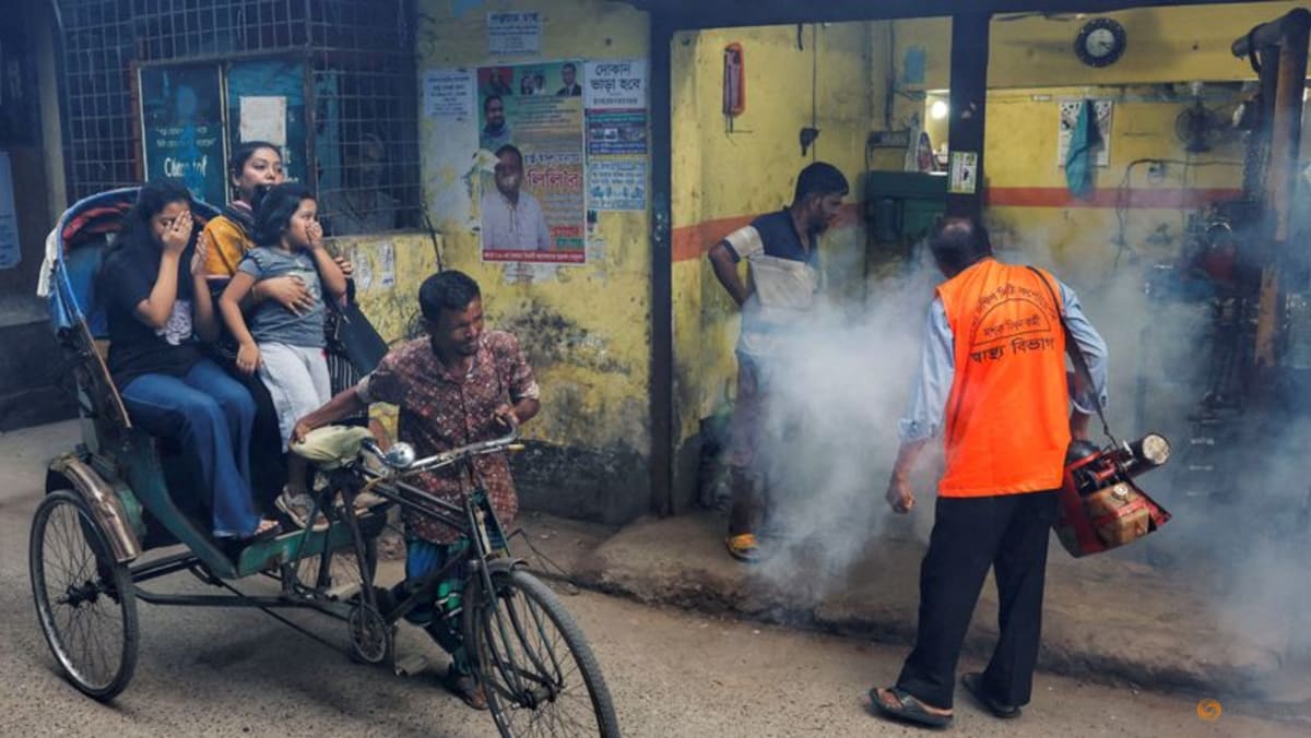 Dengue cases surge across Bangladesh as experts call for urgent action