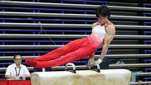 艺术体操男子鞍马决赛 我国选手林浚溢夺银牌