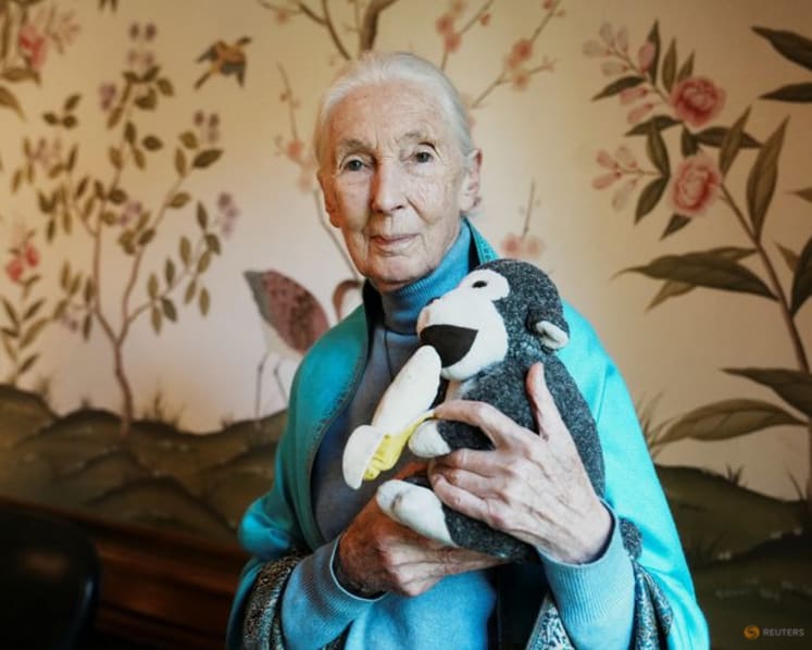 What Jane Goodall taught us about living a long life