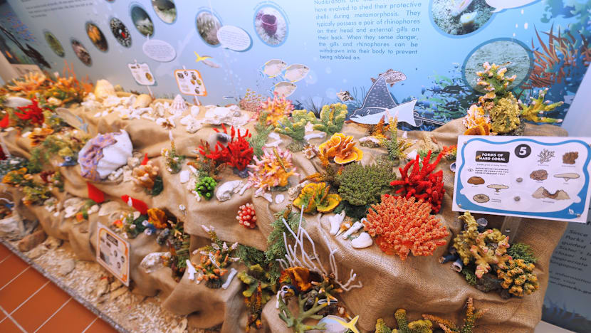 Sisters’ Island Park Public Gallery opens
