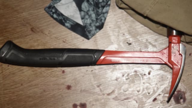 网上玩游戏发生争执 美国男跨州伤人