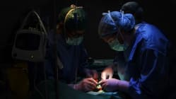 Related article image