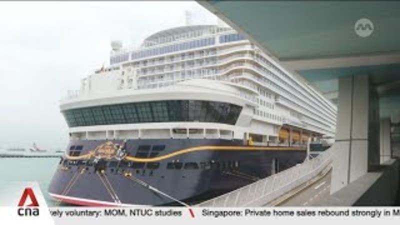 Cruise sector: Singapore accounts for nearly half of Southeast Asia's passenger visits in 2024 