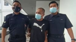 Related article image