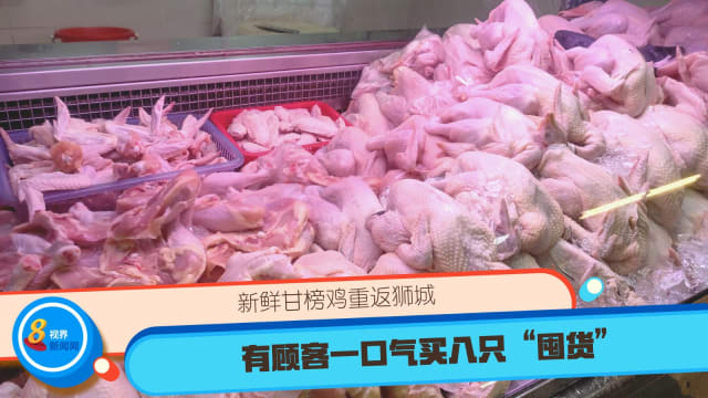 新鲜甘榜鸡重返狮城 有顾客一口气买八只“囤货” 