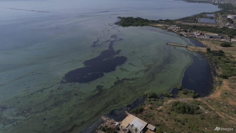 How are a group of young Venezuelans using human and animal hair to fight oil spills? How are a group of young Venezuelans using human and animal hair to fight oil spills?