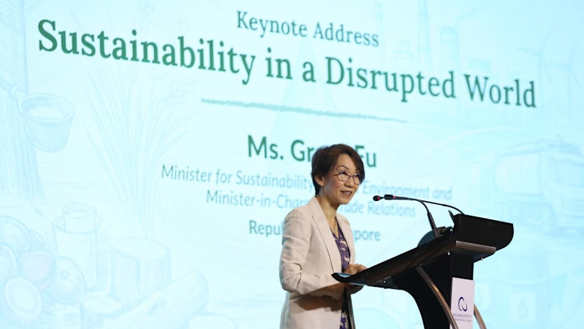 Extreme weather events, Middle East conflict create 'perfect storm' for Southeast Asia: Grace Fu