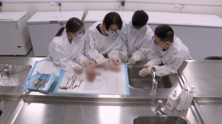 Specialists In The Unusual - In Life And In Death