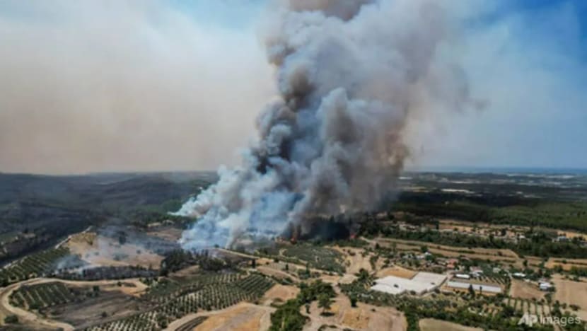 6 maut dalam kebakaran hutan, Turki isytihar bencana