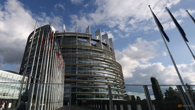 European Parliament agrees on resolution calling for minimum age of on social media