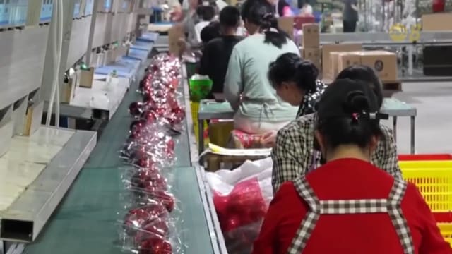 中国大陆将对美欧台日进口共聚聚甲醛 征收为期五年的反倾销税