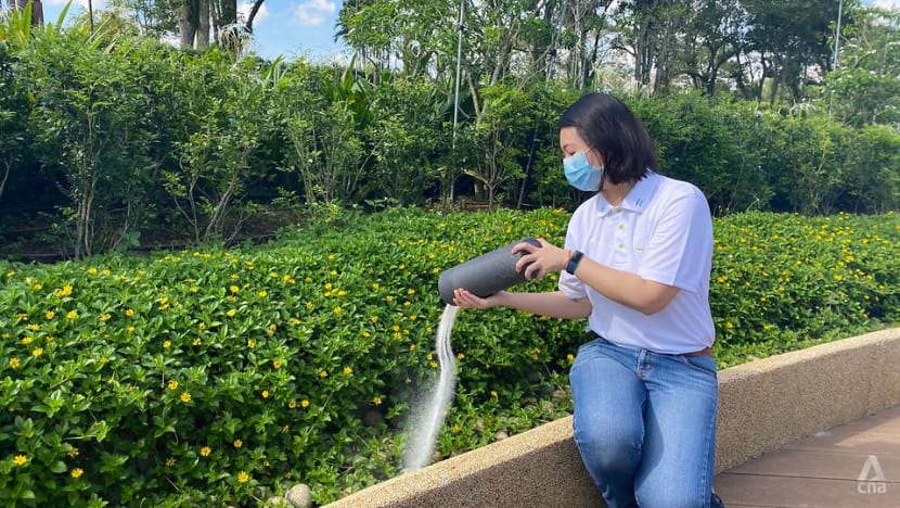 Increasing demand for scattering of ashes in garden at Choa Chu Kang Cemetery Increasing demand for scattering of ashes in garden at Choa Chu Kang Cemetery