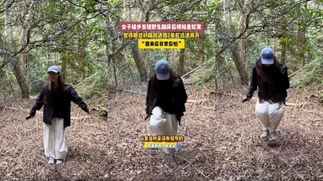 江西女子登山误把蛇巢当蹦床 事后惊呼后怕