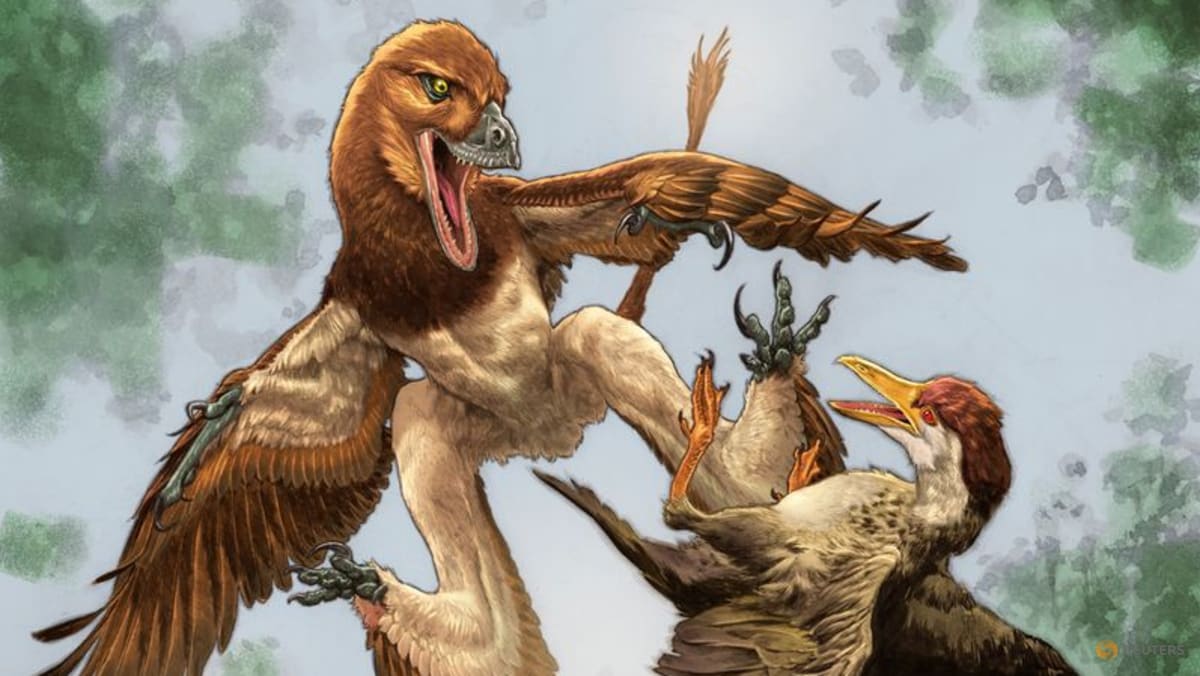 Chinese Velociraptor cousin had a taste for birds