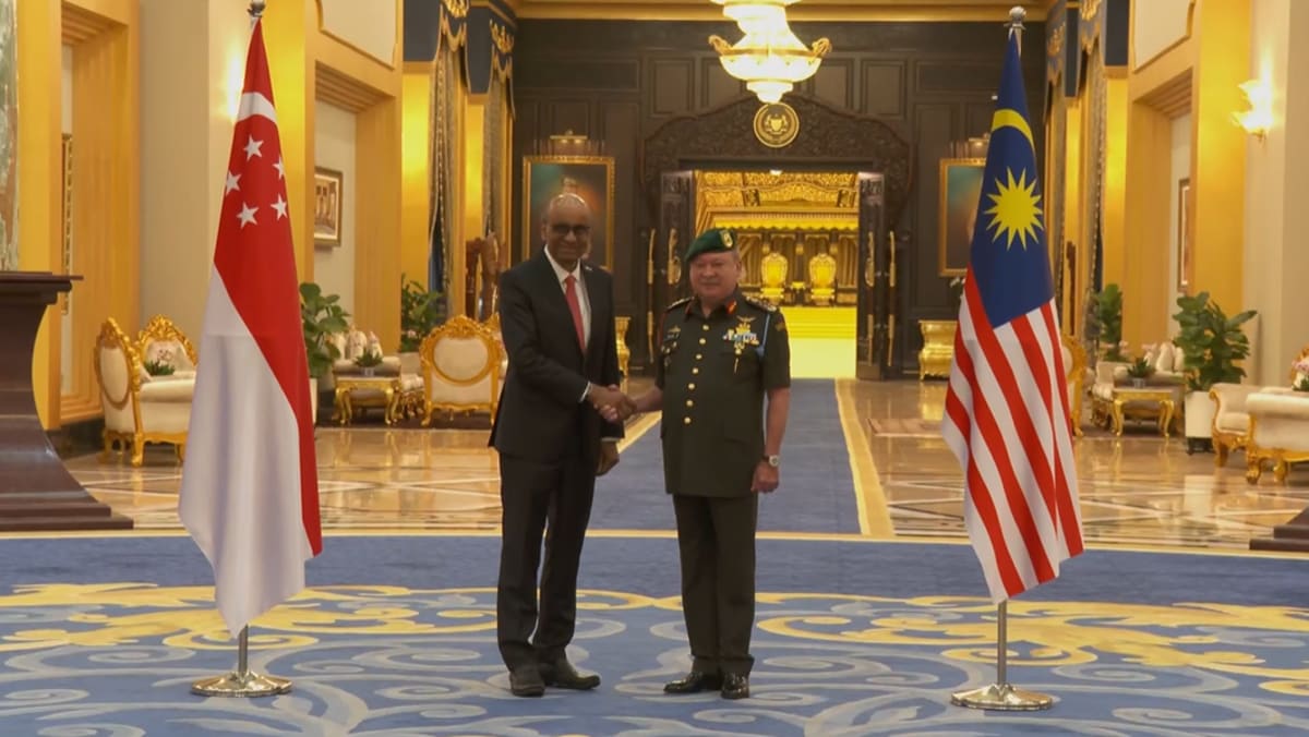 Singapore and Malaysia ‘building further’ on strong economic partnership, says President Tharman