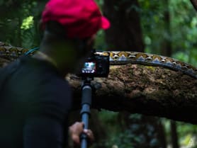 In Pictures: Snakes and marine life you don’t always see at Sentosa