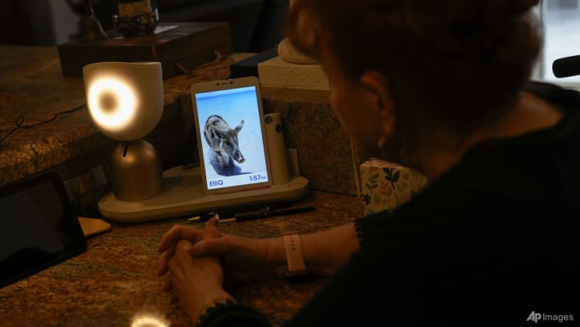 Chatty robot helps seniors fight loneliness through AI companionship