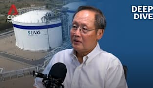 Singapore's fuel stockpile for electricity 'enough to last for months' in a crisis: Tan See Leng