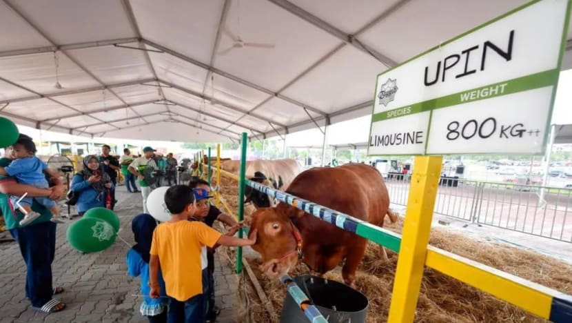 'Upin dan 'Ipin' antara korban Aidiladha 'Upin dan 'Ipin' antara korban Aidiladha