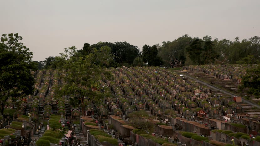 The guardians of Choa Chu Kang Cemetery