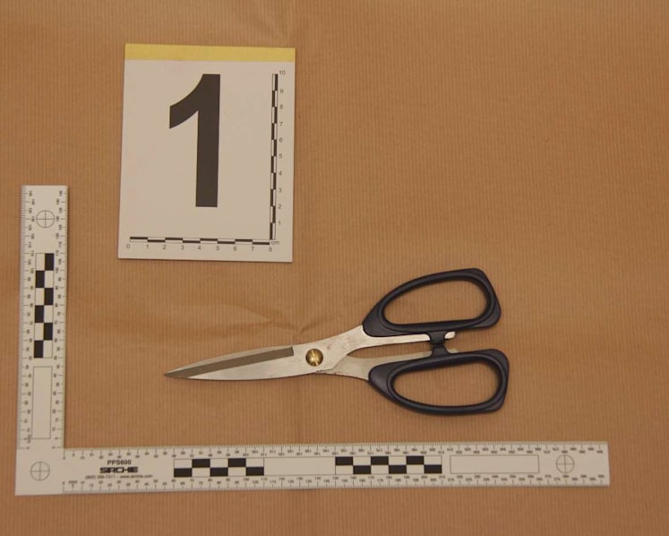 Man arrested after allegedly punching victim, hitting another with pair of scissors