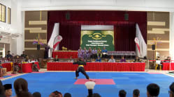 Related article image