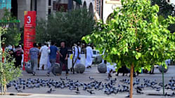 Related article image