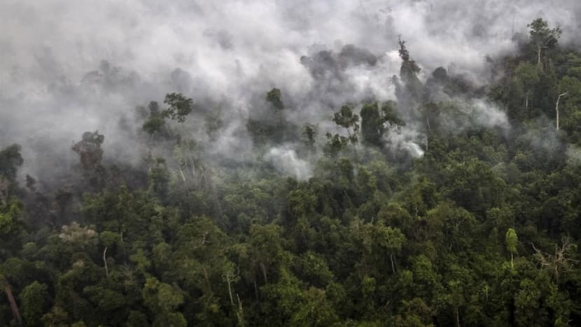 Indonesian firm APP rebuts ST article linking it to haze-causing fires