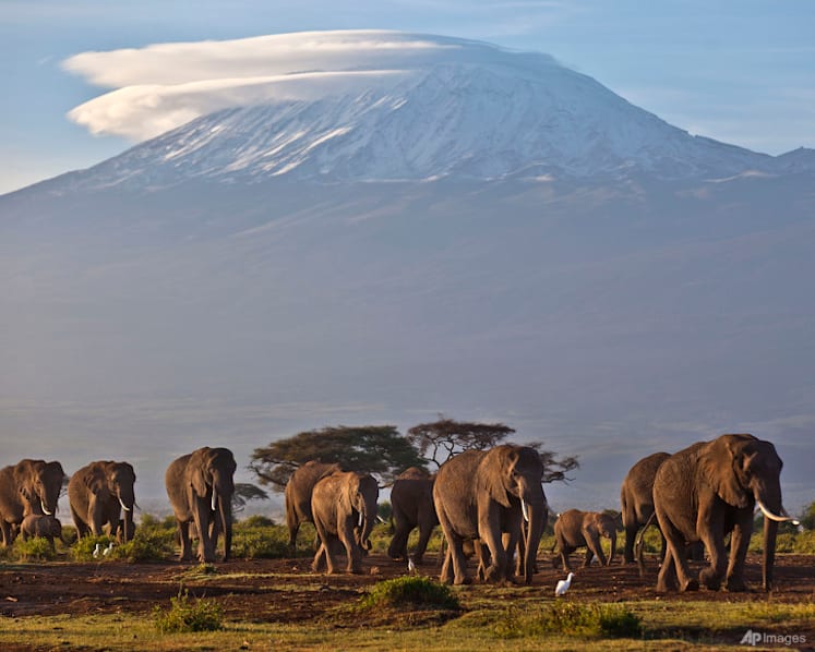 Singaporean dies during Mount Kilimanjaro climbing expedition