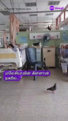 மருத்துவமனையில்