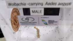 Related article image