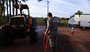 Japan halts some poultry imports from Brazil after bird flu outbreak