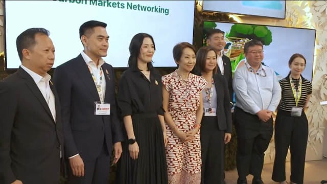 新泰碳信用合作取得进展 发布适用核算法清单