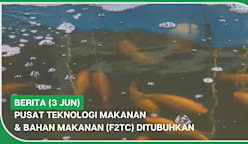 BERITA (3 Jun) | Pusat Teknologi Makanan & Bahan Makanan (F2TC) ditubuhkan