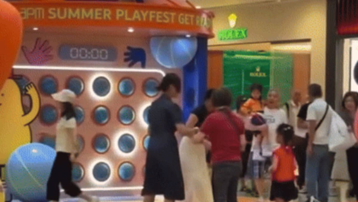 Three Women Granted Bail After Hong Kong Shopping Mall Slapping Brawl