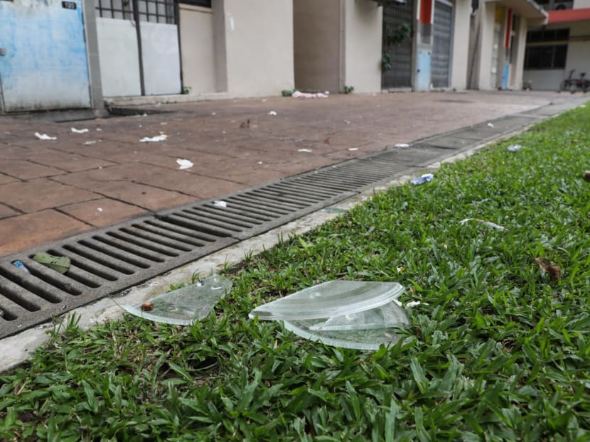 Explainer: Are suspects ‘guilty until proven innocent’ under revised killer litter law and who bears the burden of proof?