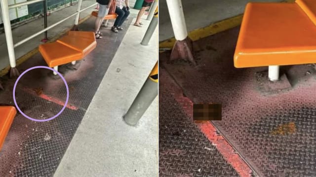 宏茂桥巴士站发现疑似人的粪便 网民直呼作呕