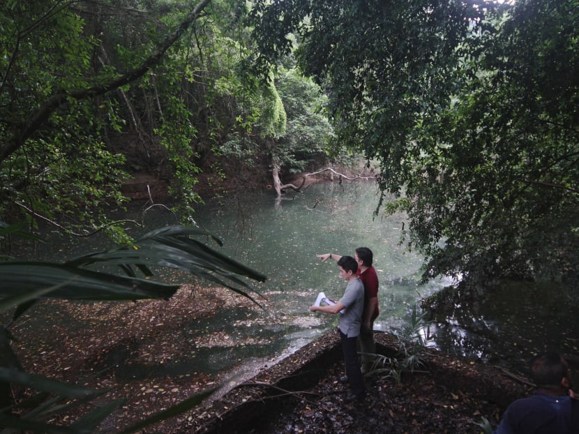 Abandoned reservoir near Telok Blangah Road found