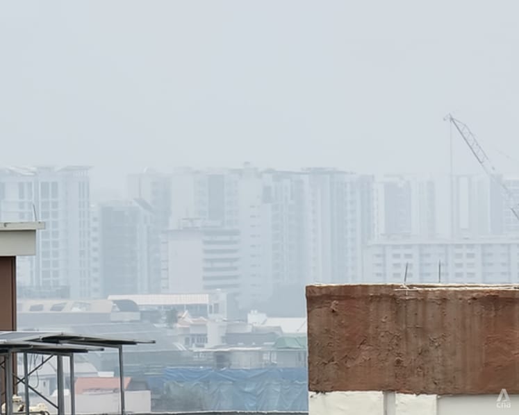 Singapore has 'sufficient stock' of masks should haze situation worsen: Grace Fu