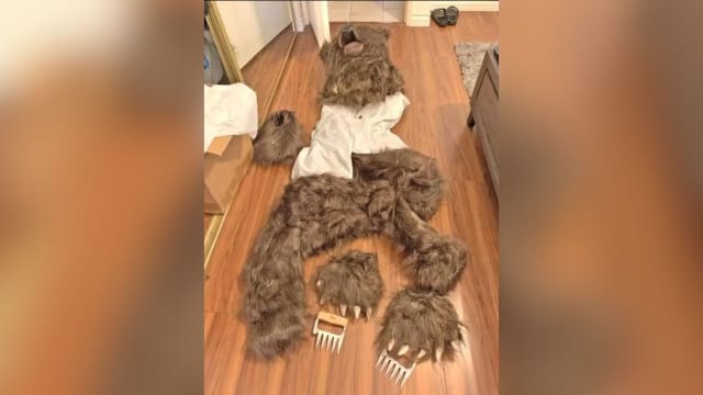 假扮熊攻击豪车 美国四人涉骗保逾19万元