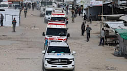 Related article image