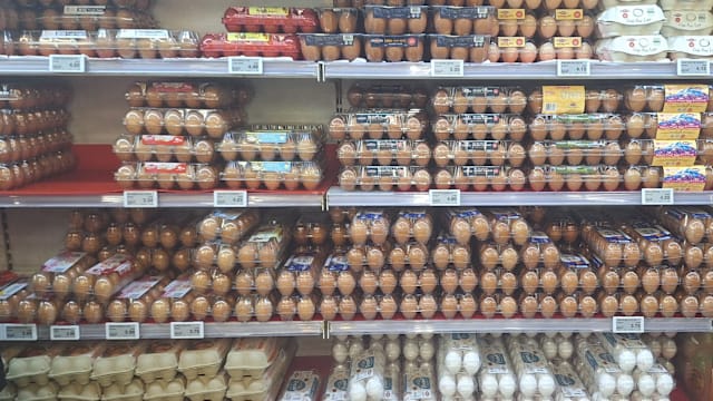 不求有功，“蛋”求无过！