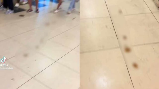 后港坊地板出现粪便 网民：从入口到厕所都有
