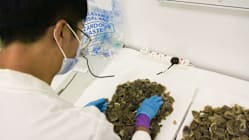 Related article image