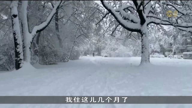 欧洲多地天降大雪 慕尼黑铁路交通停运航班受影响