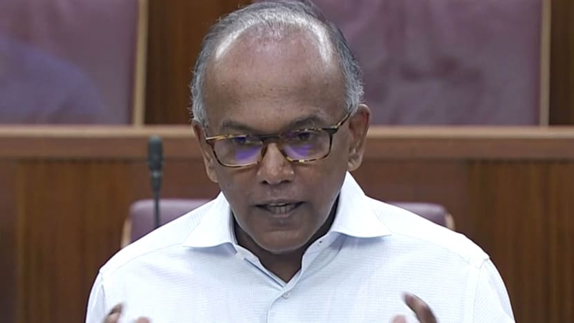 Boyfriend/girlfriend category under Familial Ties Lane removed because it was being abused: Shanmugam