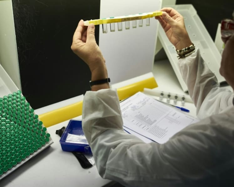 Dengue vaccine Dengvaxia approved for use in Singapore
