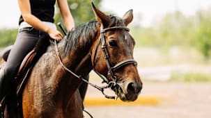 "என் நண்பர்களுக்கு ஏதும் ஆனால்..." - அநீதியைத் தட்டிக்கேட்ட சிறுமி!